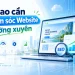 Vì sao cần chăm sóc website thường xuyên?